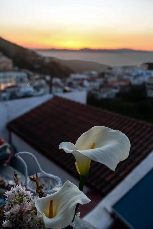 Sunset Elena Holiday home Ioulis